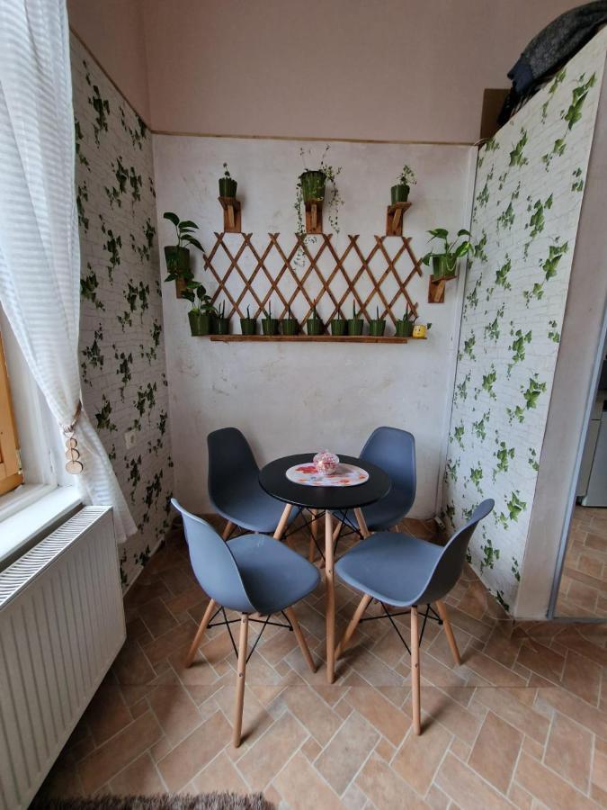 Apartament Ultracentral 2 Piata Muzeului Клуж-Напока Екстер'єр фото
