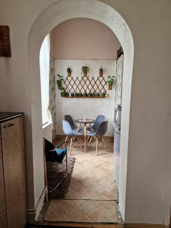 Apartament Ultracentral 2 Piata Muzeului Клуж-Напока Екстер'єр фото