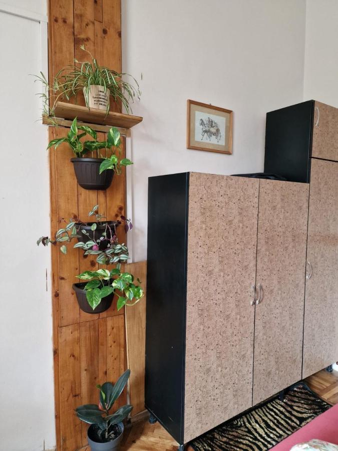 Apartament Ultracentral 2 Piata Muzeului Клуж-Напока Екстер'єр фото
